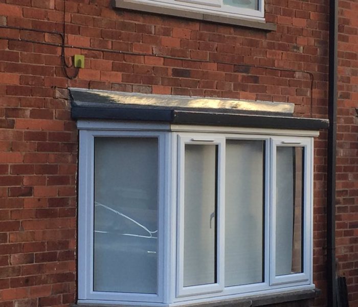 46504055_2216990078623505_5864363047631454208_n